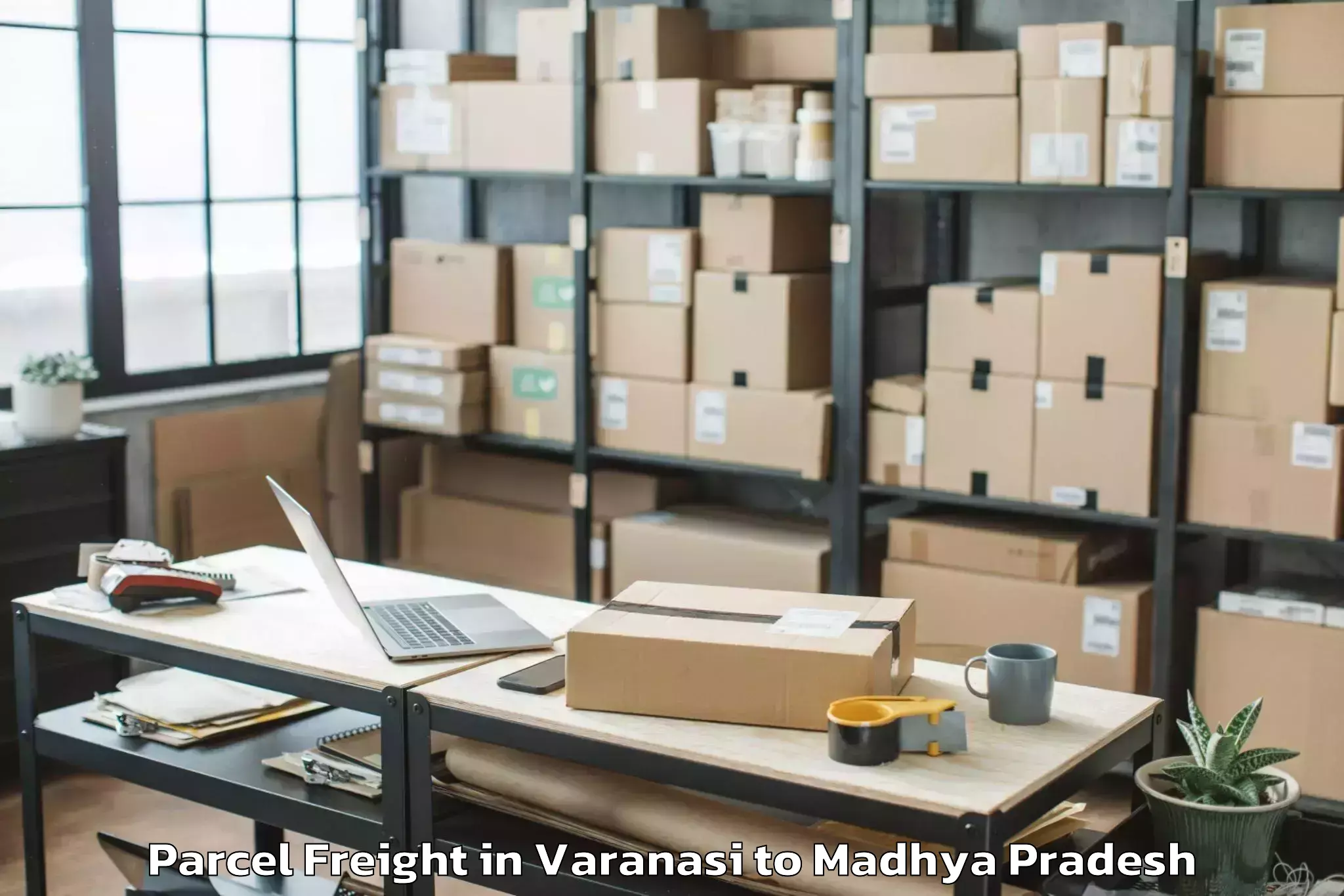 Top Varanasi to Abhilashi University Satna Parcel Freight Available